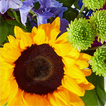 Catching Rays Bouquet – BUTTERFLIES & BOUQUETS, Peterstown WV
