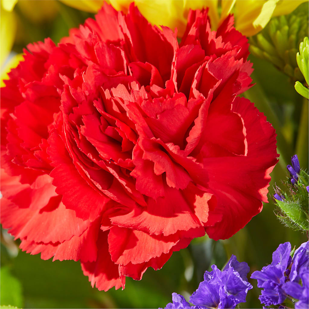 Brighter Days Bouquet – BUTTERFLIES & BOUQUETS, Peterstown WV