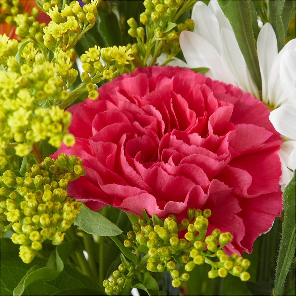 Oopsie Daisy Bouquet – BUTTERFLIES & BOUQUETS, Peterstown WV