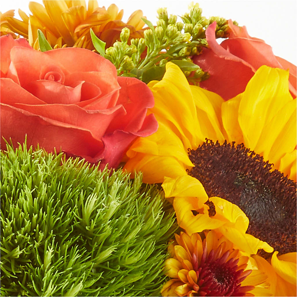 Farmer’s Market Stroll Bouquet – BUTTERFLIES & BOUQUETS, Peterstown WV