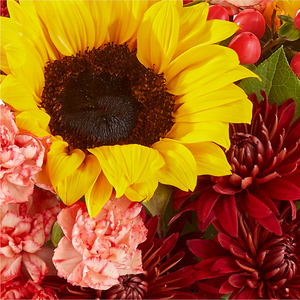 Fresh Cider Bouquet – BUTTERFLIES & BOUQUETS, Peterstown WV
