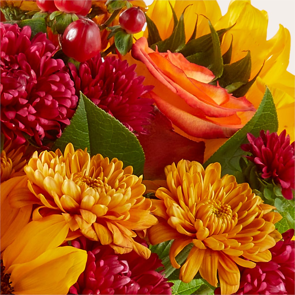 Sweater Season - A Florist Original – BUTTERFLIES & BOUQUETS, Peterstown WV