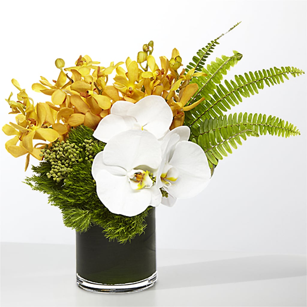 The Tropics – BUTTERFLIES & BOUQUETS, Peterstown WV