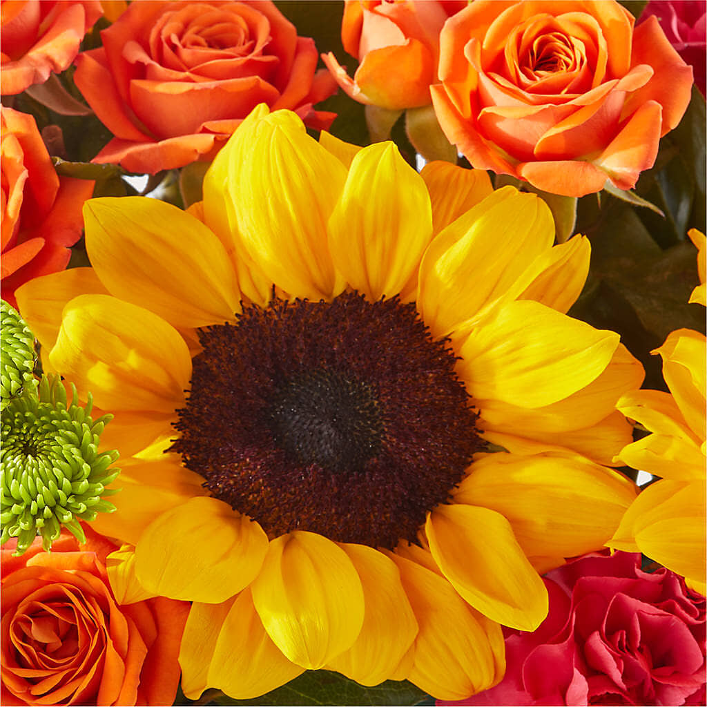 Sun-drenched Blooms Box Bouquet – BUTTERFLIES & BOUQUETS, Peterstown WV