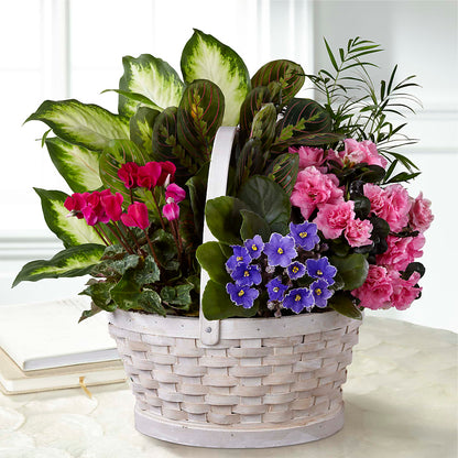 Peaceful Garden Planter – BUTTERFLIES & BOUQUETS, Peterstown WV