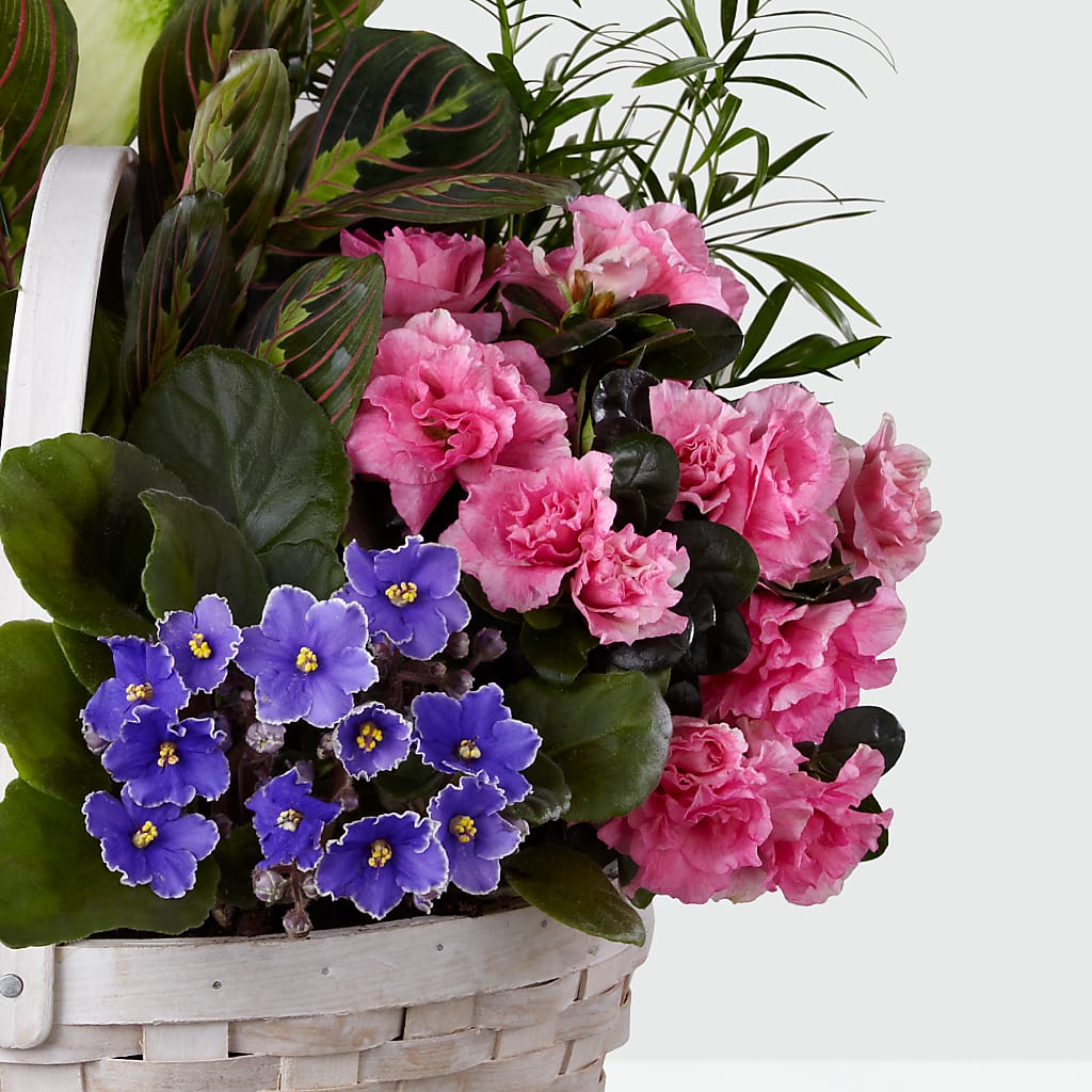 Peaceful Garden Planter – BUTTERFLIES & BOUQUETS, Peterstown WV