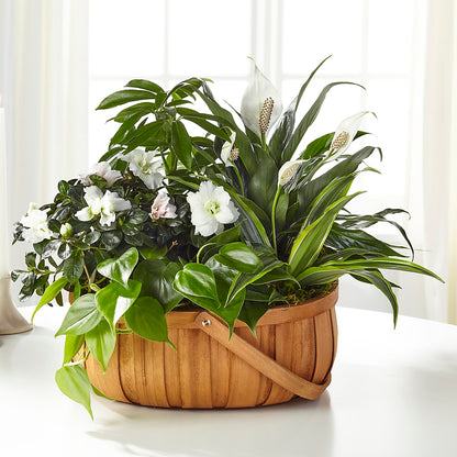 Serene Dishgarden – BUTTERFLIES & BOUQUETS, Peterstown WV