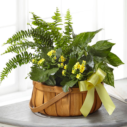 Always Dear Dishgarden – BUTTERFLIES & BOUQUETS, Peterstown WV