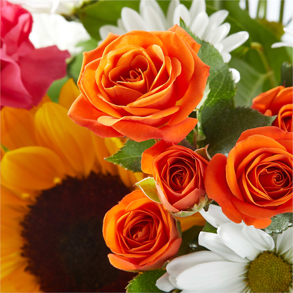Sun-drenched Blooms Bouquet – BUTTERFLIES & BOUQUETS, Peterstown WV