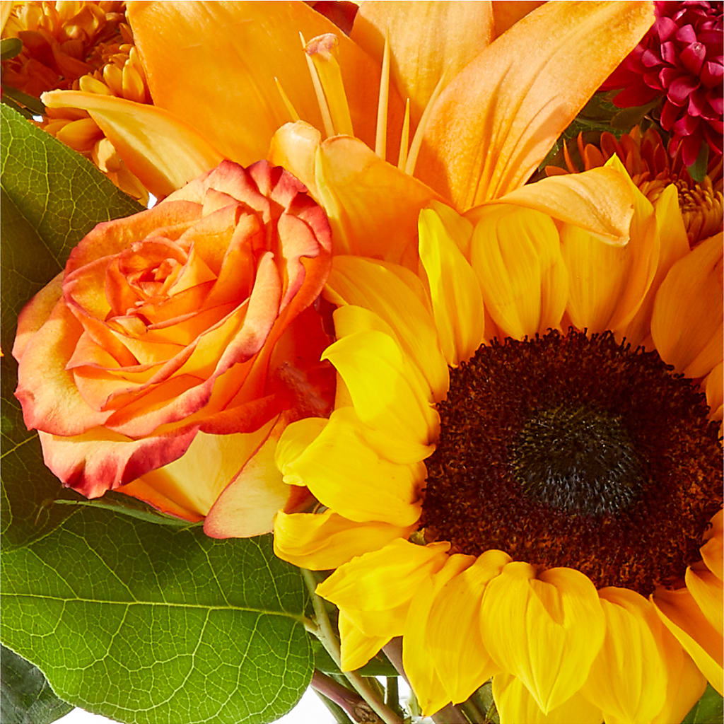 Fall Day Bouquet – BUTTERFLIES & BOUQUETS, Peterstown WV