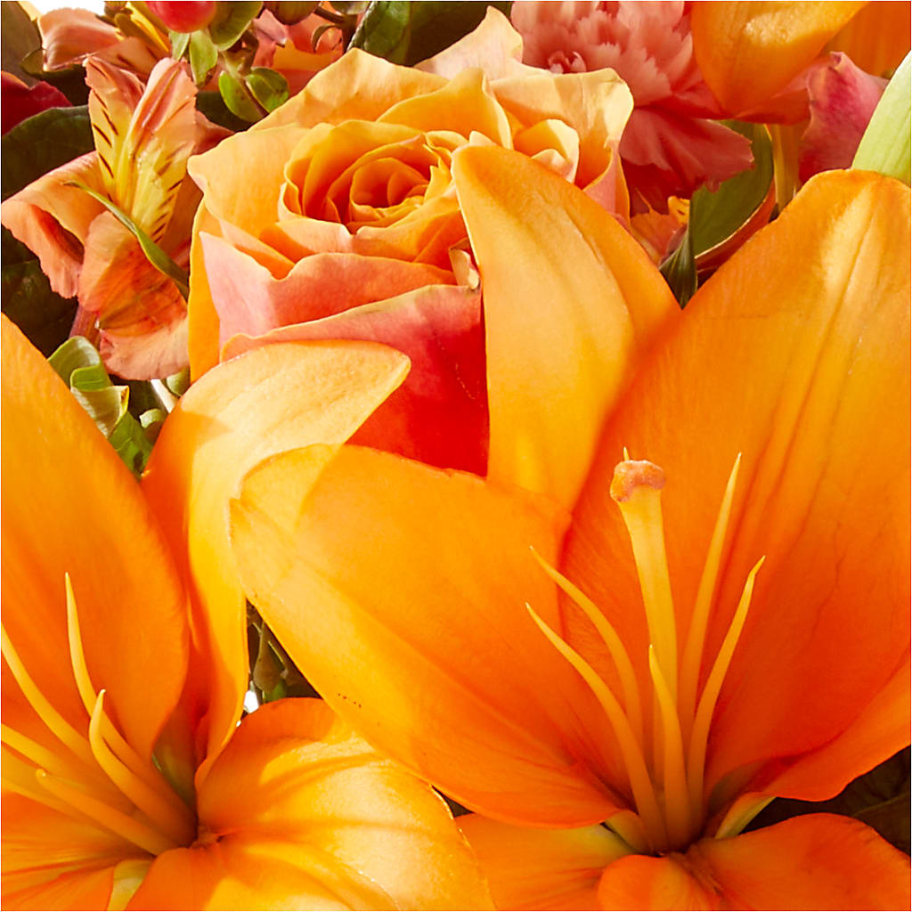 Afternoon Light Bouquet – BUTTERFLIES & BOUQUETS, Peterstown WV