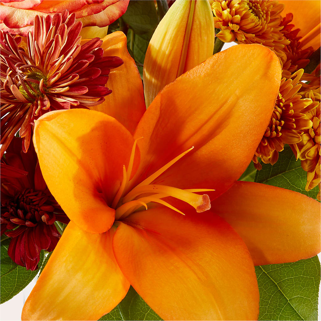Autumnal Aroma Bouquet – BUTTERFLIES & BOUQUETS, Peterstown WV