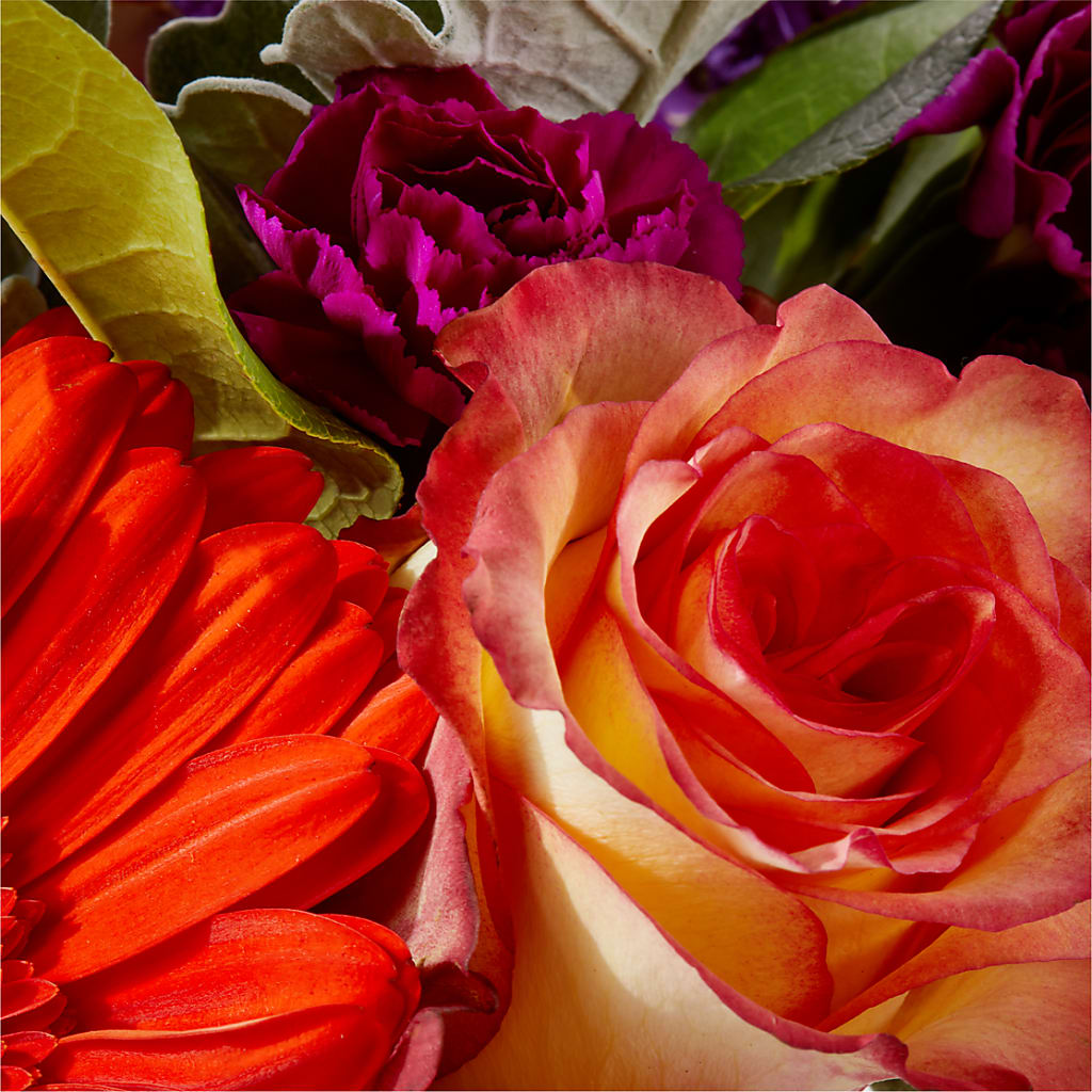 Sangria Bouquet – BUTTERFLIES & BOUQUETS, Peterstown WV