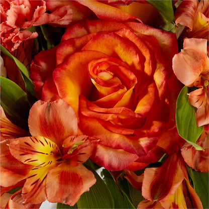 Apricot Glow Bouquet – BUTTERFLIES & BOUQUETS, Peterstown WV