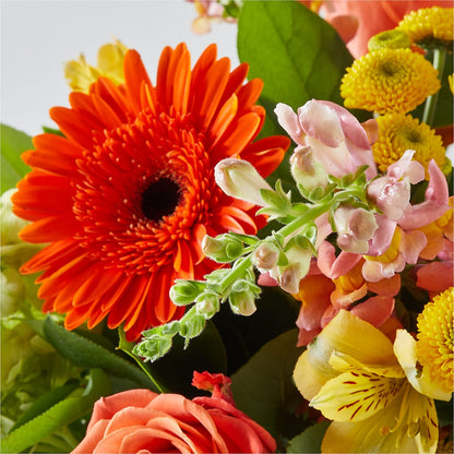 Autumn Sunshine Bouquet – BUTTERFLIES & BOUQUETS, Peterstown WV