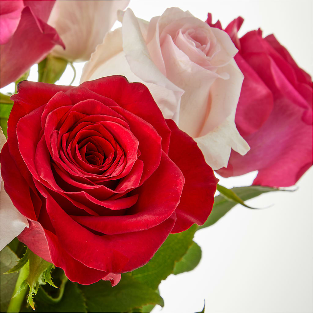 Charming Rose Bouquet – BUTTERFLIES & BOUQUETS, Peterstown WV
