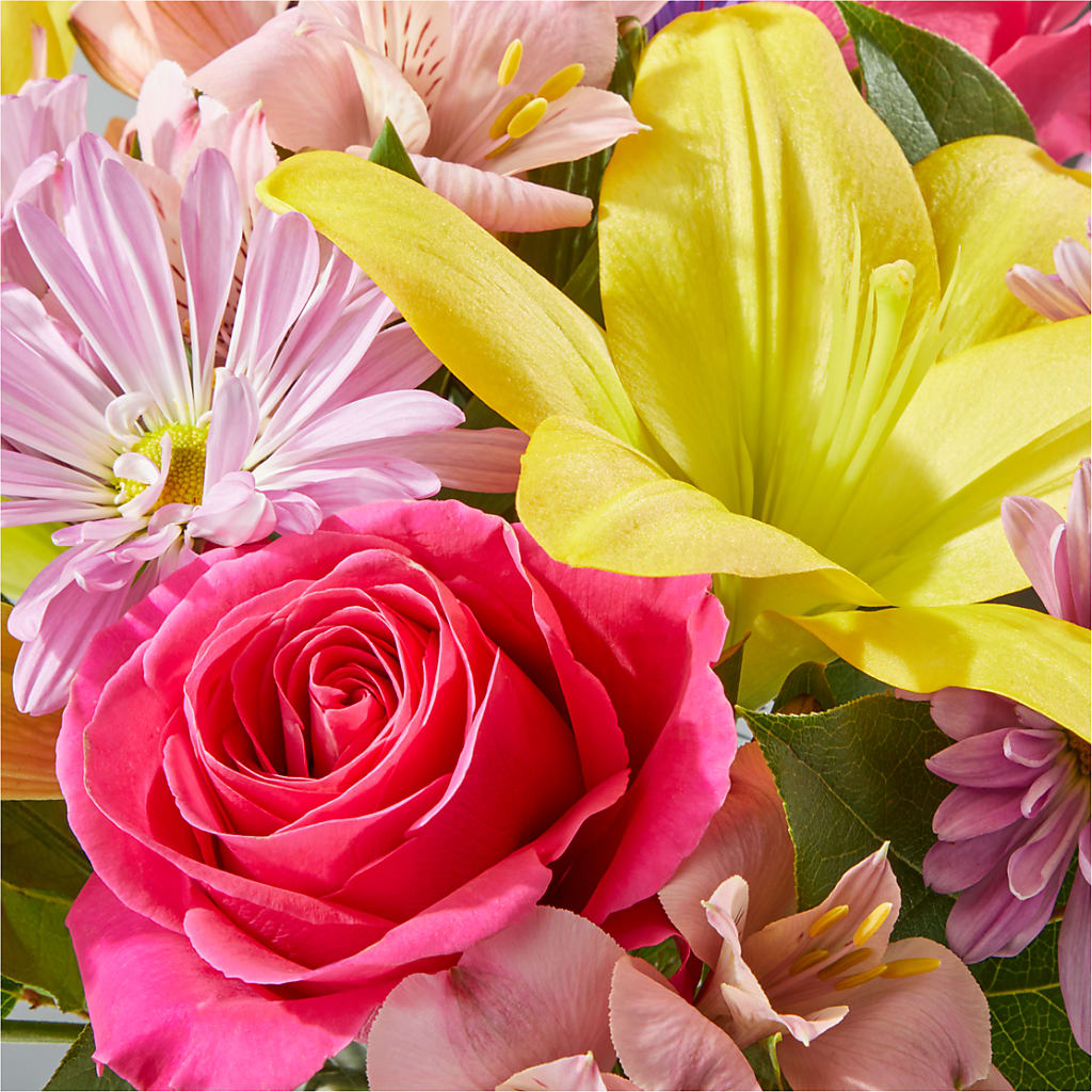 Sprinkles Bouquet – BUTTERFLIES & BOUQUETS, Peterstown WV