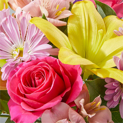 Sprinkles Bouquet – BUTTERFLIES & BOUQUETS, Peterstown WV
