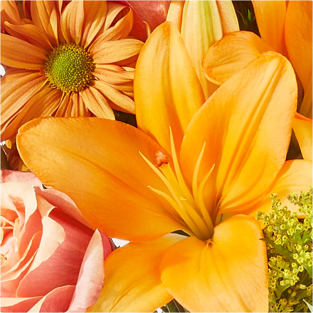 Harvest Hayride Bouquet – BUTTERFLIES & BOUQUETS, Peterstown WV