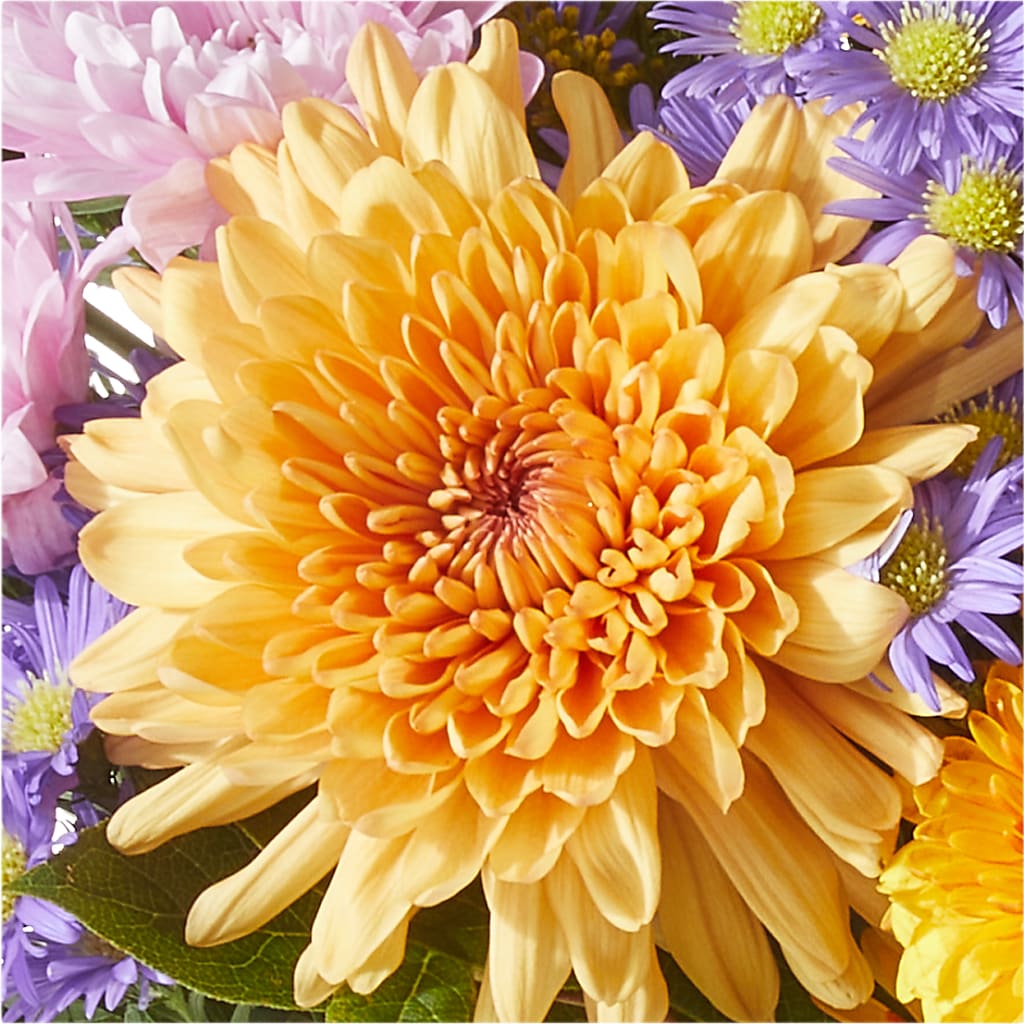 Countryside Bouquet – BUTTERFLIES & BOUQUETS, Peterstown WV