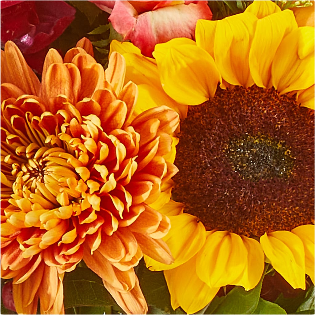 Seasons Change Bouquet – BUTTERFLIES & BOUQUETS, Peterstown WV