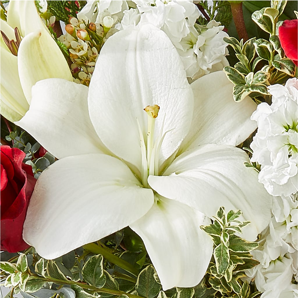 Twinkle Lights Bouquet – BUTTERFLIES & BOUQUETS, Peterstown WV