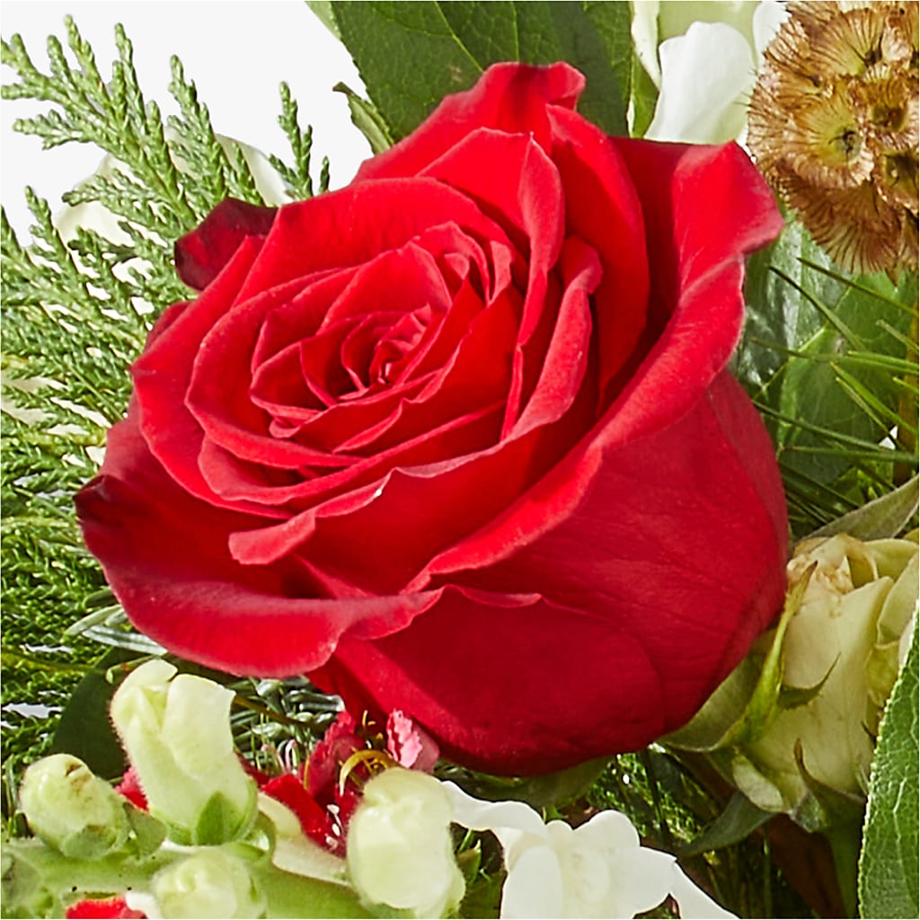 Deck the Halls Bouquet – BUTTERFLIES & BOUQUETS, Peterstown WV