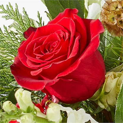 Deck the Halls Bouquet – BUTTERFLIES & BOUQUETS, Peterstown WV