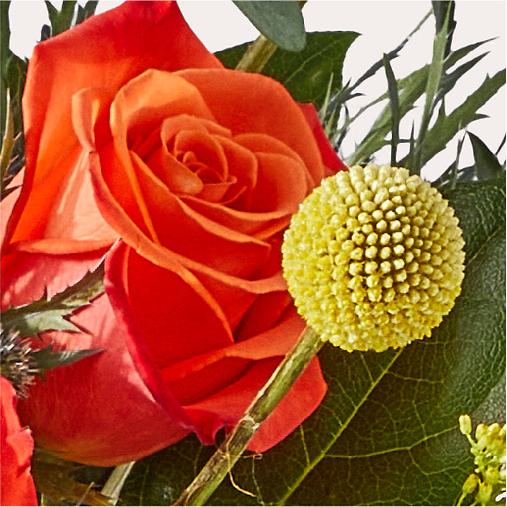Disco Bouquet – BUTTERFLIES & BOUQUETS, Peterstown WV