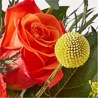 Disco Bouquet – BUTTERFLIES & BOUQUETS, Peterstown WV