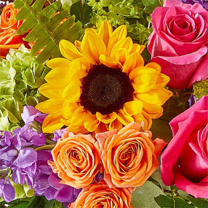 Vibrant Greetings Bouquet – BUTTERFLIES & BOUQUETS, Peterstown WV