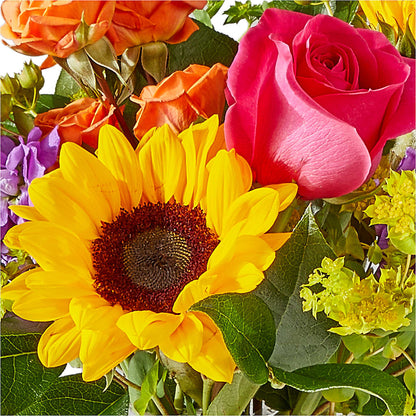 Vibrant Greetings Bouquet – BUTTERFLIES & BOUQUETS, Peterstown WV