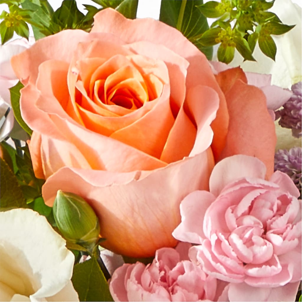 French Market Bouquet – BUTTERFLIES & BOUQUETS, Peterstown WV