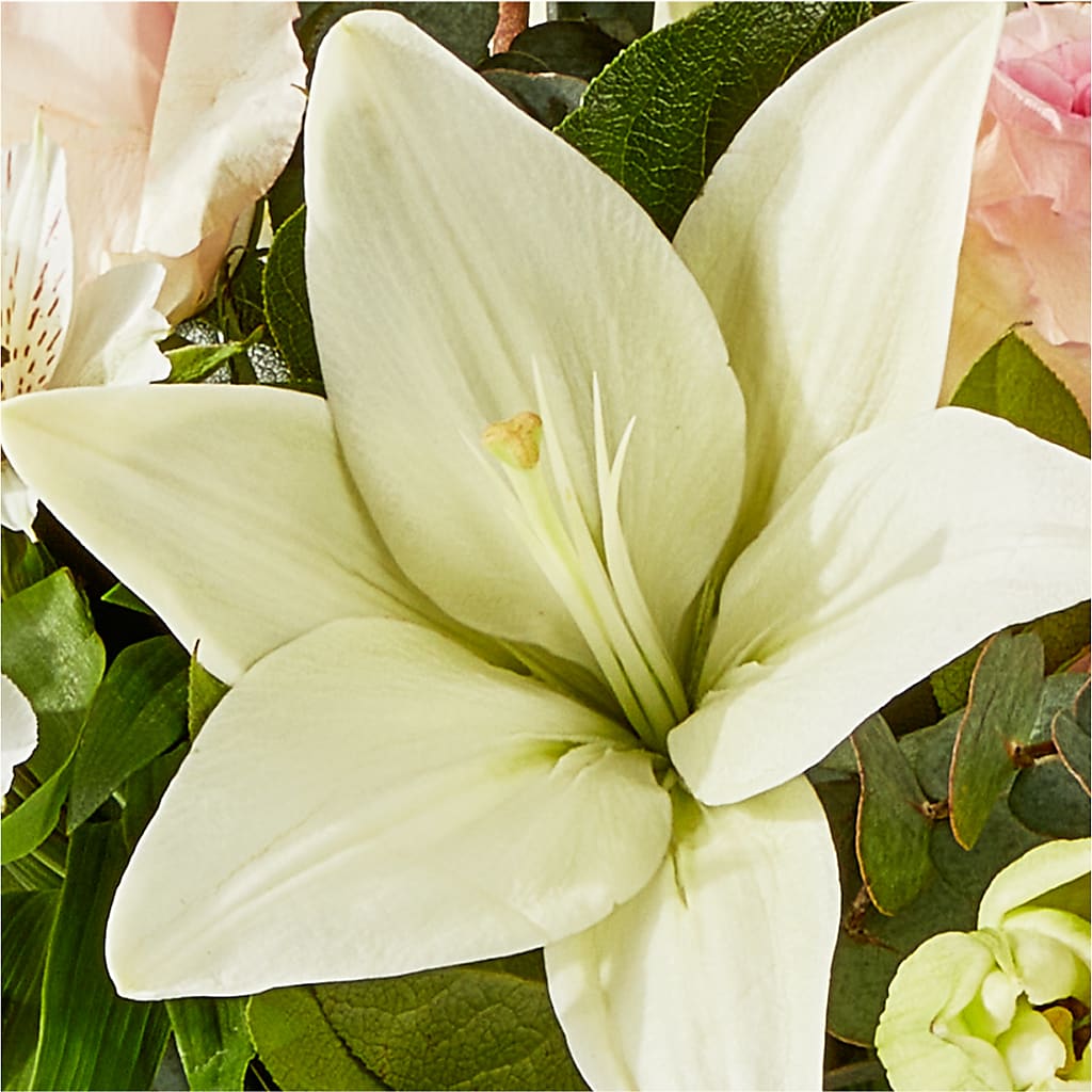 Ballet Slippers Bouquet – BUTTERFLIES & BOUQUETS, Peterstown WV