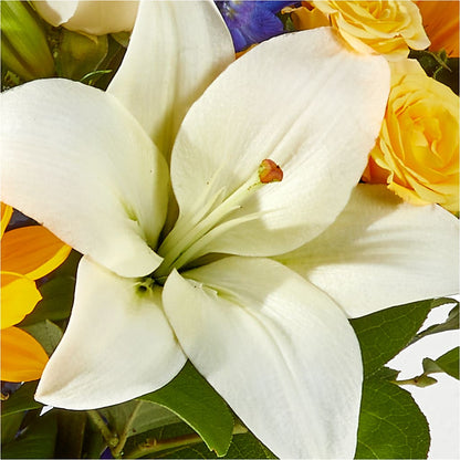 Wonderfully Sunny Bouquet – BUTTERFLIES & BOUQUETS, Peterstown WV