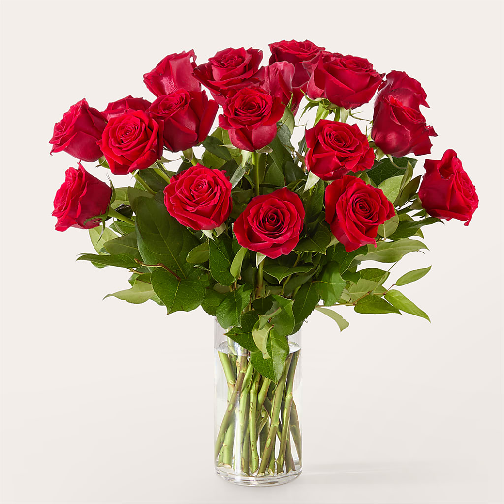 The One Red Rose Bouquet – BUTTERFLIES & BOUQUETS, Peterstown WV