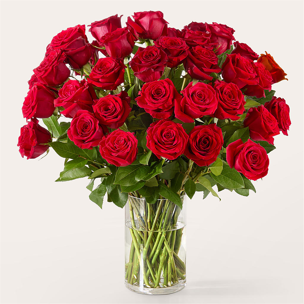 The One Red Rose Bouquet – BUTTERFLIES & BOUQUETS, Peterstown WV