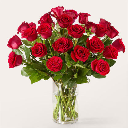 The One Red Rose Bouquet – BUTTERFLIES & BOUQUETS, Peterstown WV