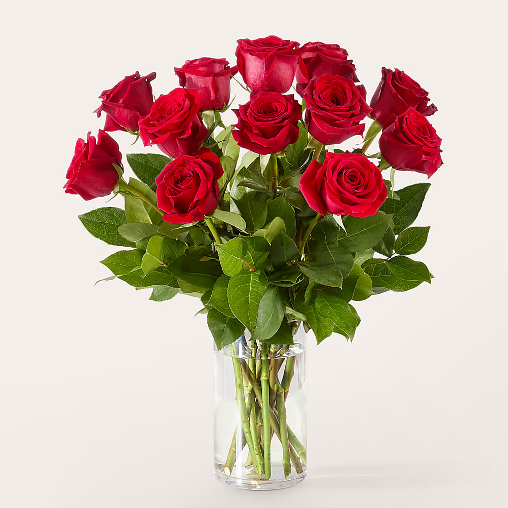 The One Red Rose Bouquet – BUTTERFLIES & BOUQUETS, Peterstown WV