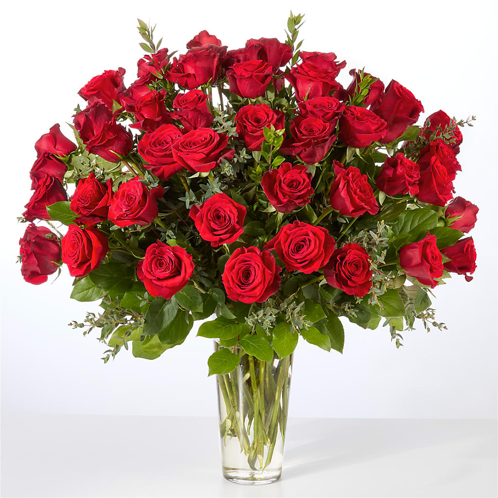 Forever Yours Fifty Stem Red Rose Bouquet – BUTTERFLIES & BOUQUETS, Peterstown WV