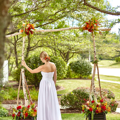 Arbor of Love Archway – BUTTERFLIES & BOUQUETS, Peterstown WV