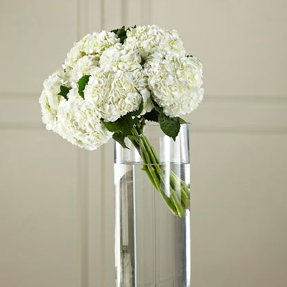 White Hydrangea Hand-Tied Bouquet – BUTTERFLIES & BOUQUETS, Peterstown WV