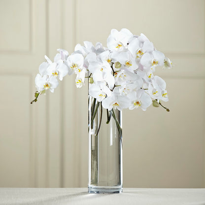 White Phalaenopsis Bouquet – BUTTERFLIES & BOUQUETS, Peterstown WV