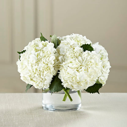 White Hydrangea Bouquet – BUTTERFLIES & BOUQUETS, Peterstown WV