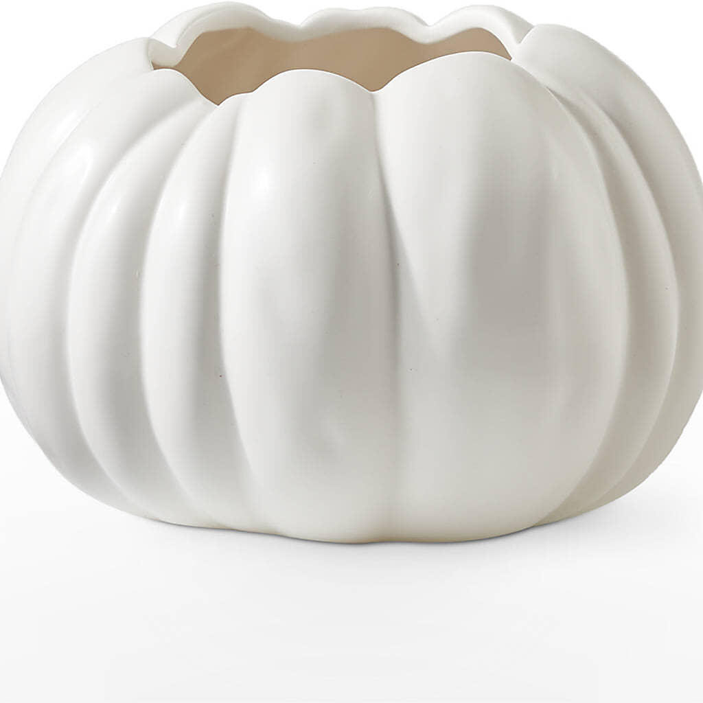 Pumpkin to Talk About Bouquet – BUTTERFLIES & BOUQUETS, Peterstown WV